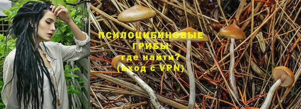 MDMA Алзамай