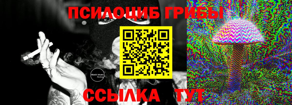 Галлюциногенные грибы Psilocybe  Галлюциногенные грибы MAGIC MUSHROOMS  Анжеро-Судженск  где продают наркотики  Вход с VPN 