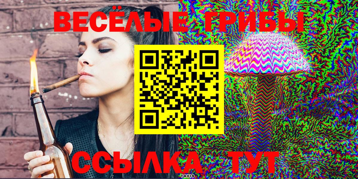 Псилоцибиновые грибы Psilocybine cubensis Анжеро-Судженск