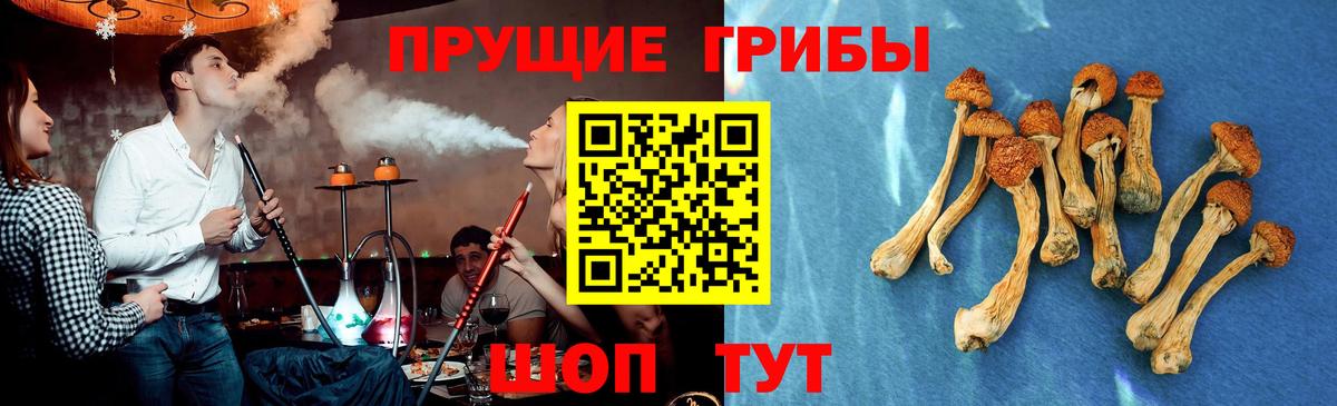 Галлюциногенные грибы Cubensis  Анжеро-Судженск 